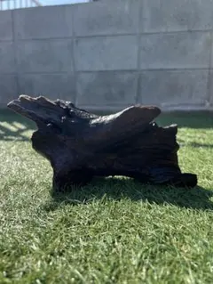 アクアリウム流木のサムネイル