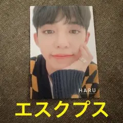 seventeen HARU トレカ エスクプス セット