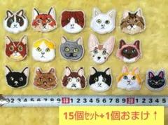 Item thumbnail for item ea4e0838-3960-44e1-9113-4b9e76883f59