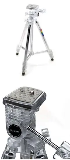 Item thumbnail for item 7b42400d-3b31-43ae-985f-bd9daeda4792