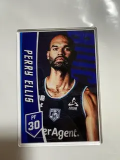 PERRY ELLIS ファングッズカード PF30