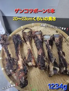 Item thumbnail for item d4d57fba-df4c-4136-828d-314bbb0b7e52