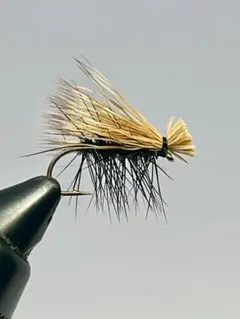 Item thumbnail for item 2780aea5-e9b9-4719-873d-e5bee3834762