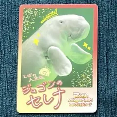 ジュゴン セレナ AQUARIUMコレクションカードvol.2 鳥羽水族館