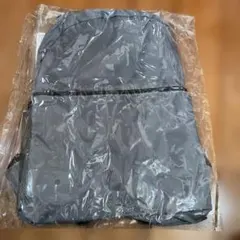 Item thumbnail for item b1e6b314-3aeb-4d8d-9b77-80cd17b862dd