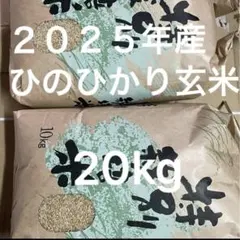 2025年産 ひのひかり 玄米 20kgのサムネイル
