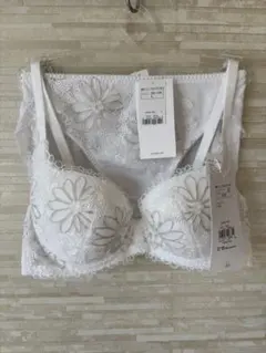 C75L」トリンプ プレミアム ゴールドレーベル 刺繍ガーベラの花 ブラショーツ