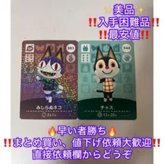あつまれどうぶつの森 amiiboカード チャス　みしらぬネコ