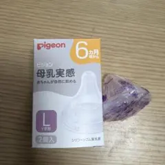 Pigeon 哺乳瓶用乳首 Lサイズ Y字型 １個