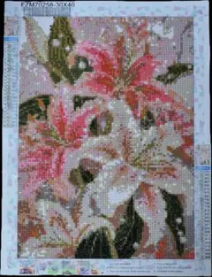 【完成品/FZM70258】ダイヤモンドアート　30x40　スクエアのサムネイル
