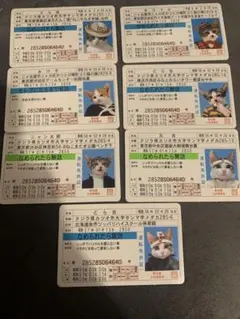 なめ猫 免許証6枚Fullセット♪+ α （復刻版）オマケ - メルカリ