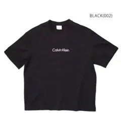 【人気デザイン】Calvin Klein ロゴTシャツ ブラック Mサイズ