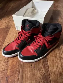 Item thumbnail for item 6b6f8c00-1875-43e0-ac0b-21ae9ff0fbbb