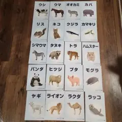 Item thumbnail for item e5fb9fb7-3e71-4c1f-b72c-b7b5df569e38