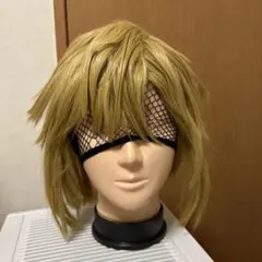 リンク　ブレワイ　ティアキン　ゼルダの伝説