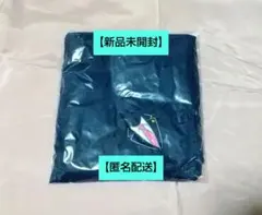 【新品未開封】 CAPCOM CAFE×逆転裁判 成歩堂龍一 ミニタオル