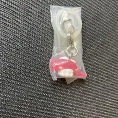 ポケモン めじるしアクセサリー シャリタツ