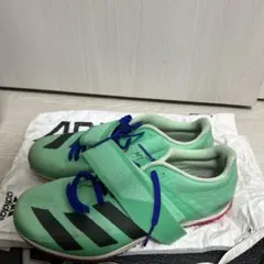 Item thumbnail for item 651ba403-5cff-400a-8f48-e1b5a21b7e34