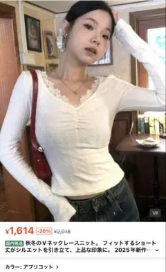 【Shein】Vネックレースニット
