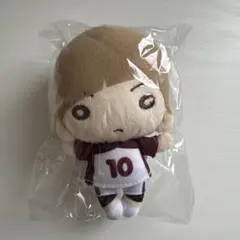 2026年最新】白布 にとたん ぬいぐるみの人気アイテム - メルカリ