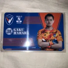 2025年最新】vファーレン長崎 オンサイトカードの人気アイテム - メルカリ