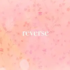 LOVE BIRD様 リクエスト 4点 まとめ商品
