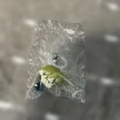 呪術廻戦　禪院直哉　めじるしアクセサリー