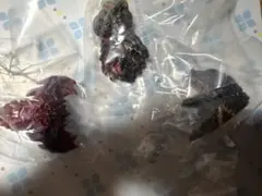 一番くじ ゴジラ 怪獣乱舞 E賞 モンスターヘッドマグネットセミコンプ