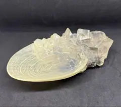 風の谷のナウシカ 王蟲 プランター 抜け殻 - メルカリ