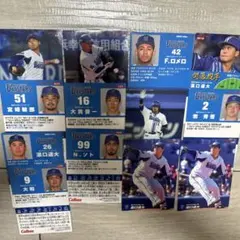 プロ野球チップスカード　横浜DeNAベイスターズ