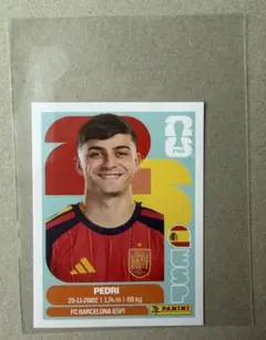 파니니 FIFA 월드컵 페드리