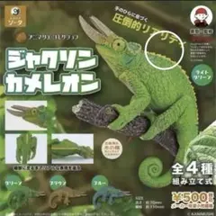 【１カートンBOX未開封】アニマリエコレクション ジャクソンカメレオン 1カートンBOX未開封】アニマリエコレクション ジャクソン