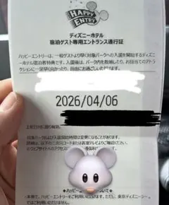 2026年最新】ハッピーエントリー ディズニーの人気アイテム - メルカリ