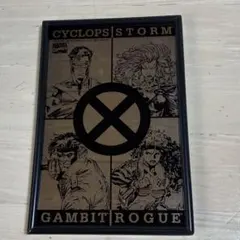 X-MENパブミラー