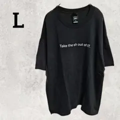 ヘインズ ロゴ ティーシャツ ビッグサイズ L 黒 綿 ストリートのサムネイル