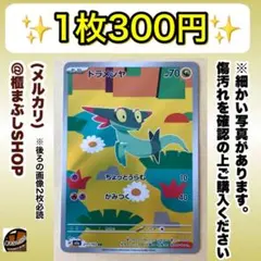 ドラメシヤ　AR M2a MEGAドリームex 211/193