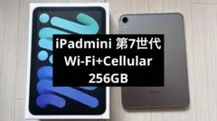 【美品+おまけ】iPadmini 7世代Wi-Fi+Cellular 256GB