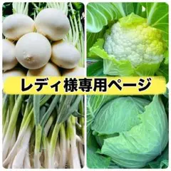 レディ様専用ページ‼️野菜詰め合わせセット❣️