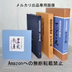 前田常作画集 マンダラの光 限定500部 額装用別刷り付き - メルカリ