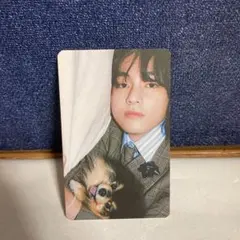 BTS V テヒョン トレカ LAYO(V)ER 愛犬