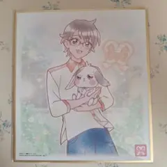 プリキュア 色紙　兎山悟&兎山大福