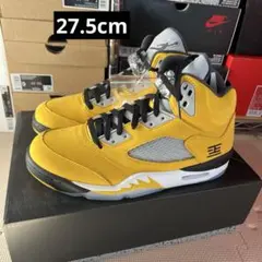 Nike Air Jordan 5 Retro 