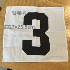 背番号　3 約27×25.5cm
