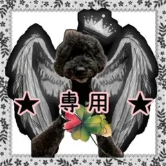 ⭐ 専用 ⭐ 猫舌冷たい 様 ⭐