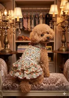 可愛い犬服　オレンジが引き立つワンピース　ハンドメイド