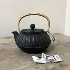 岩鋳　急須5型波　南部鉄器　鉄瓶　新品未使用〈検　茶道具　煎茶道　工芸品のサムネイル