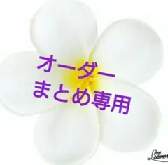 専用
