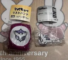 ハイキュー　リストバンド　高校モチーフピンバッジ　白鳥沢　2点セット