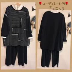 ⭐️ドラッグストアーズ 〈D.S.CLUB〉⭐️ストライププリント　カットチュニック