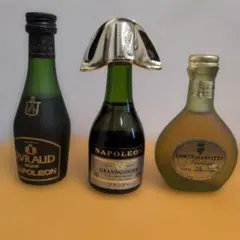 お酒 La Seydoux ラ・セドゥ ブランデー ブランデー 飾りボトル - メルカリ